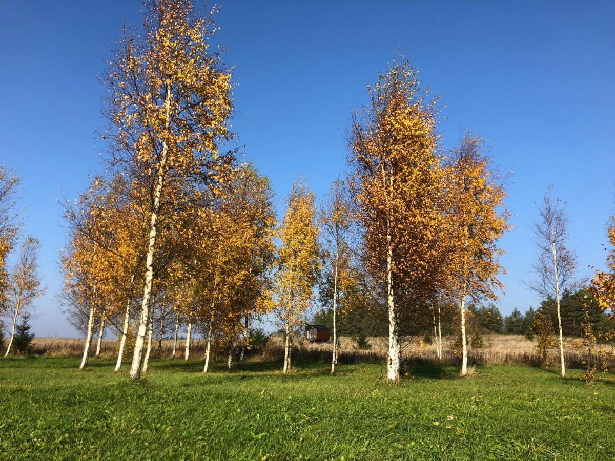 Вилла Voose Paeikesekodu Seminari- Ja Puhkekeskus Экстерьер фото