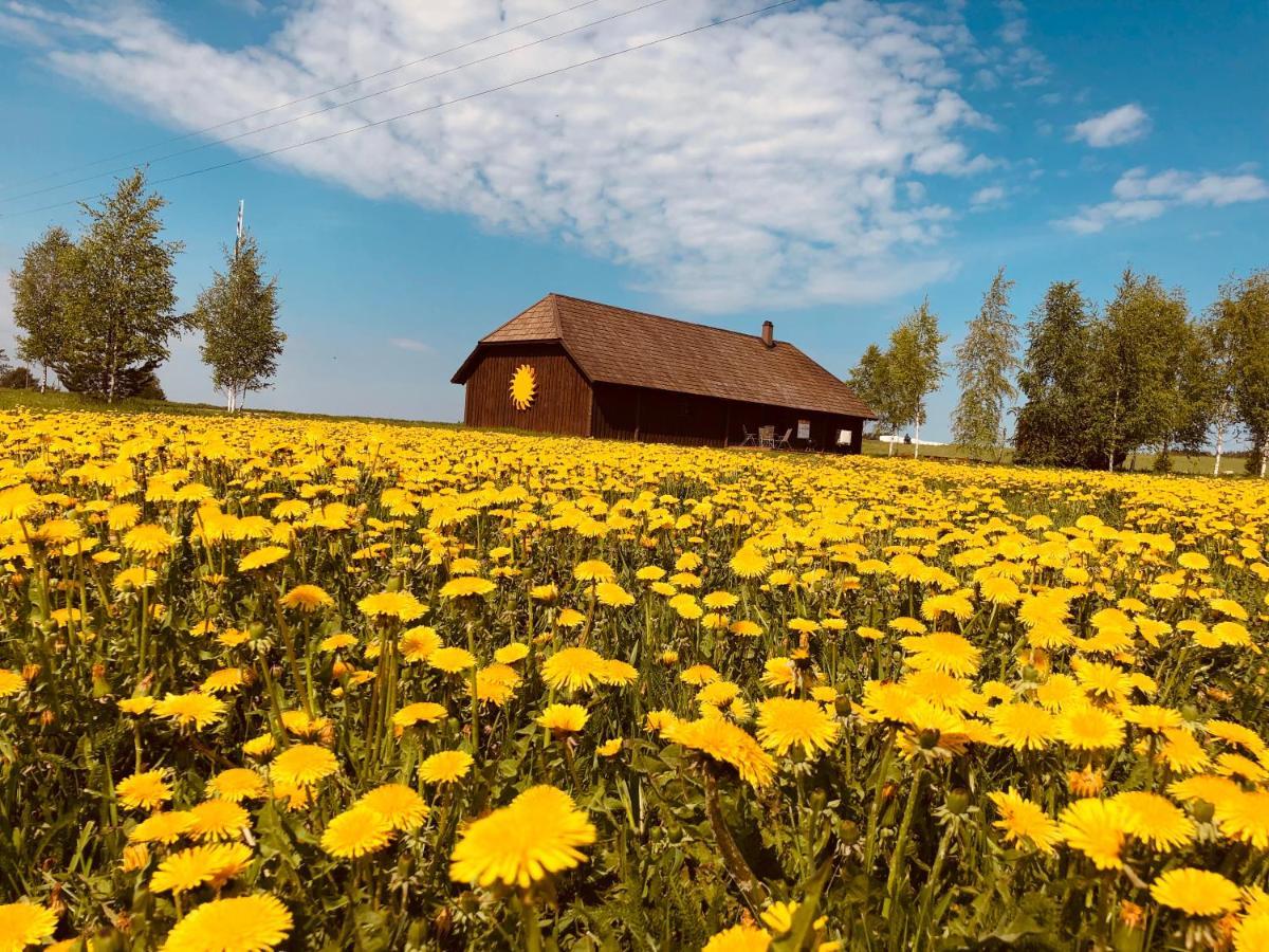 Вилла Voose Paeikesekodu Seminari- Ja Puhkekeskus Экстерьер фото