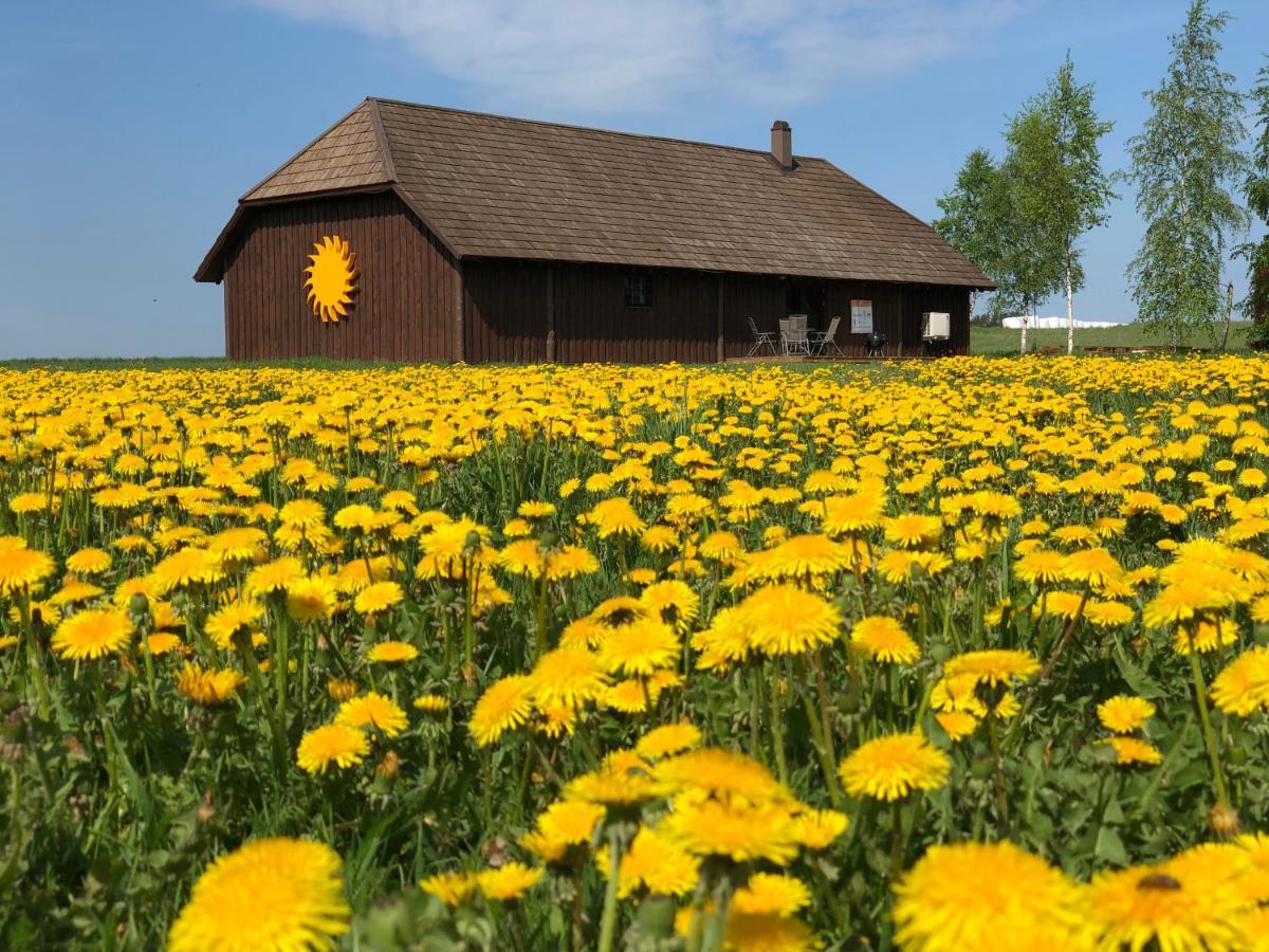 Вилла Voose Paeikesekodu Seminari- Ja Puhkekeskus Экстерьер фото